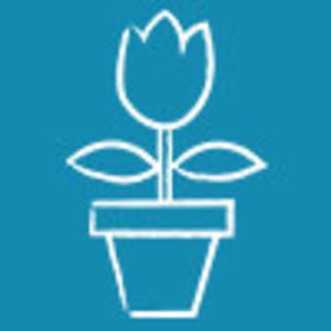 jimmy_dietulpe
