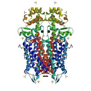 mopioid