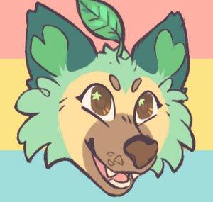 avocadog