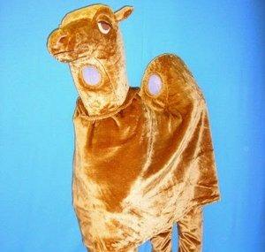 Carb Loaded Camel