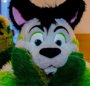Fibre Kitty
