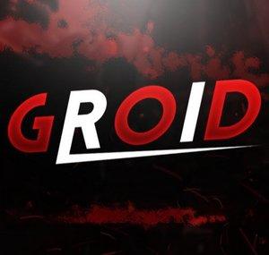 Groid