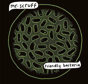Mr Scruff
