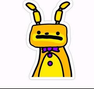 Springbonny latino