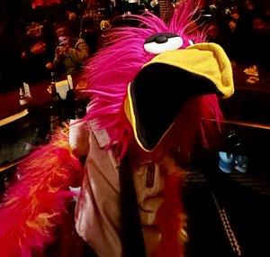 Chad The Bird