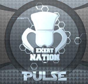 executePULSE