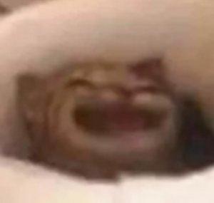 Itacurno