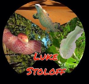 Luke Stoloff