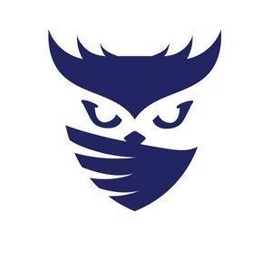 Raid Owl