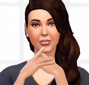 Sim Gemini