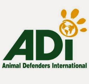 Animal Defenders International