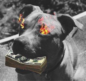 Dougless Inu