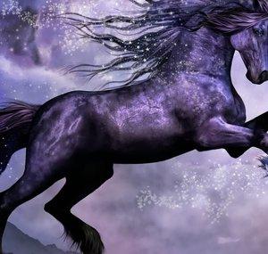 hellsunicorn