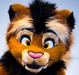 Kitwana Lion
