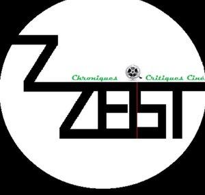 Les critiques de Zzeist