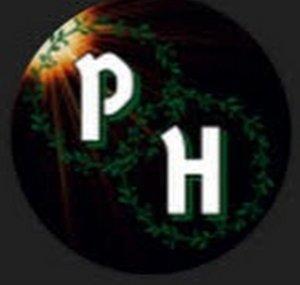 Proxy Hammer