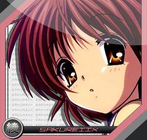 SakureiiX