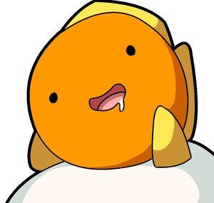 Acefishy