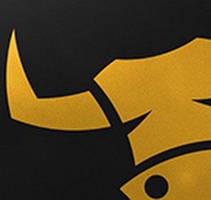 arcadebulls