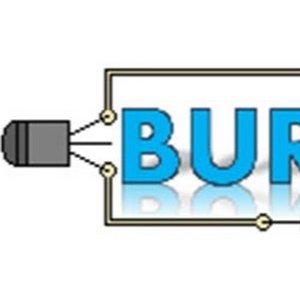 Burgoseletronica