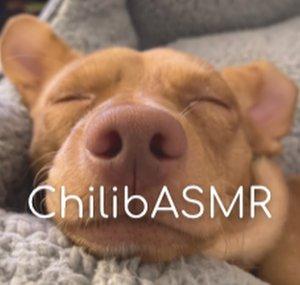 Chili b ASMR