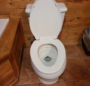 STF Toilet Reviews