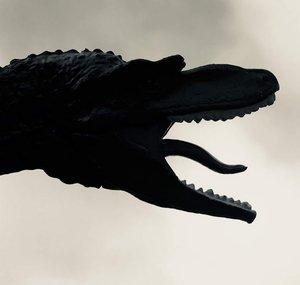 The Albertosaurus King