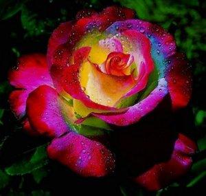 ♥•✿ڿڰۣ The Prayer Garden