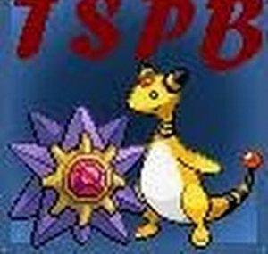 TheSuperPokeBrothers