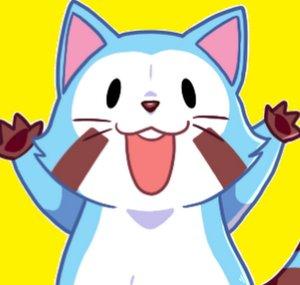 Araiguma Anime