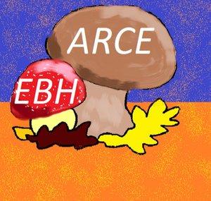 ARCE Estrategia Batalla e Historia