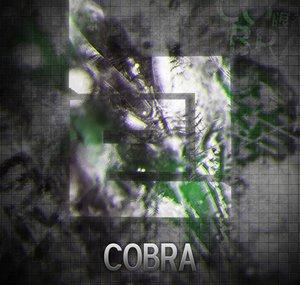 Cobes