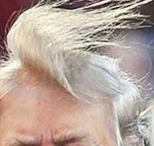 Donald Trump's Hair