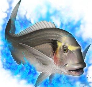 EL TANERO FISHING
