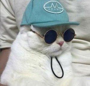 mew0i