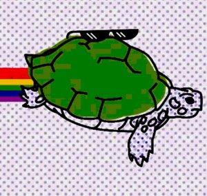 Mr Turtle
