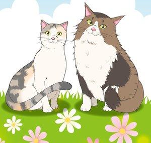 Pastel Cat World