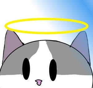 PivotCat
