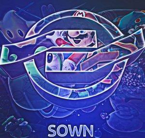 SownnXF