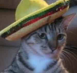 TacocatGaming 
