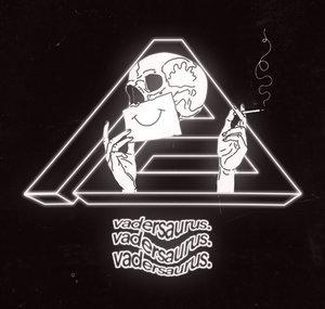 ツ Vαderѕαυrυѕ ツ