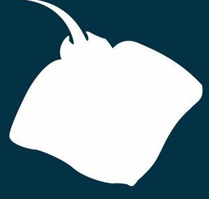 Vleetify