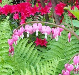 A Time-Peace Garden