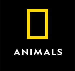 Nat Geo Animals