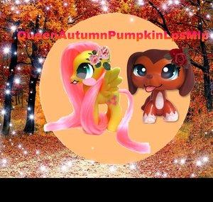 QueenAutumnPumpkinLpsMlp