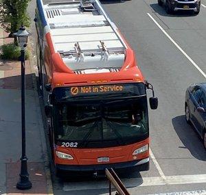 The Transit Fanner of Nassau and NYC