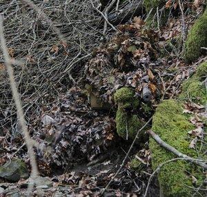 Unknown Sniper