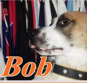 Boberagem !