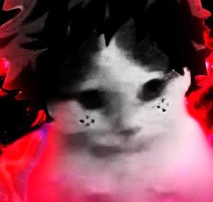DiggoCat