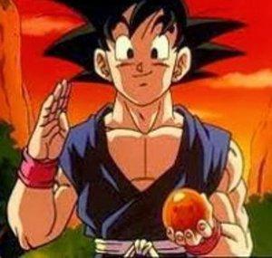 Gokumaster1